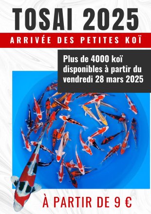 Tosai 2025