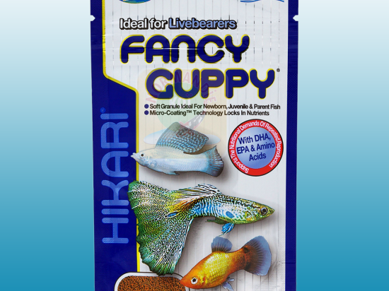 Hikari fancy guppy shop