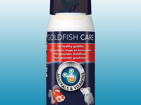 Colombo Goldfish Care