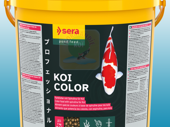 Quelle nourriture pour ses carpes koï ? - ALLIANCE EPDM