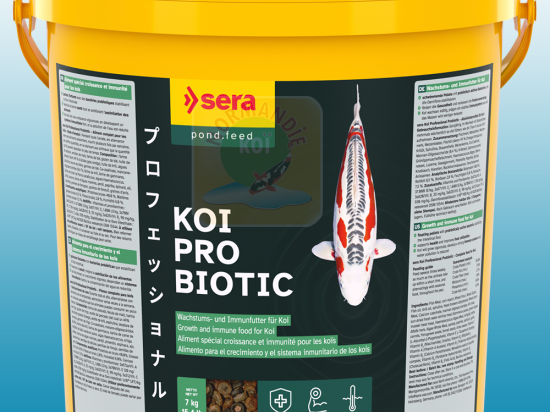 Sera Koi All Seasons Probiotic 5000 G - Nourriture Probiotique Koï Toute L'Année - Croissance & Santé Optimale