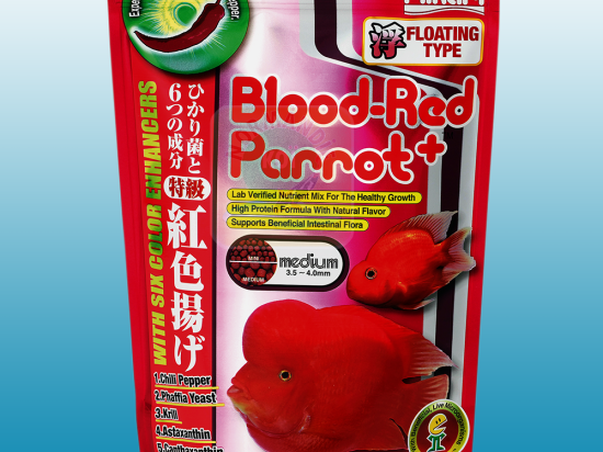 Hikari Blood Red Parrot