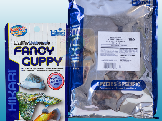 Hikari Fancy Guppy