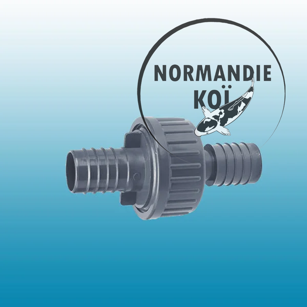Clapet anti-retour PVC avec embout