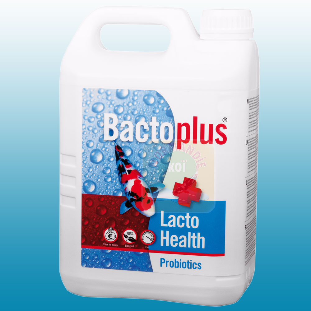 Bactoplus Lacto Health