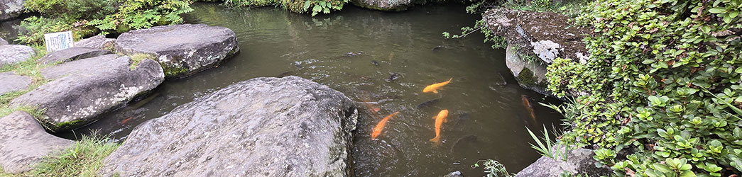 Cuves biologiques pour tambour