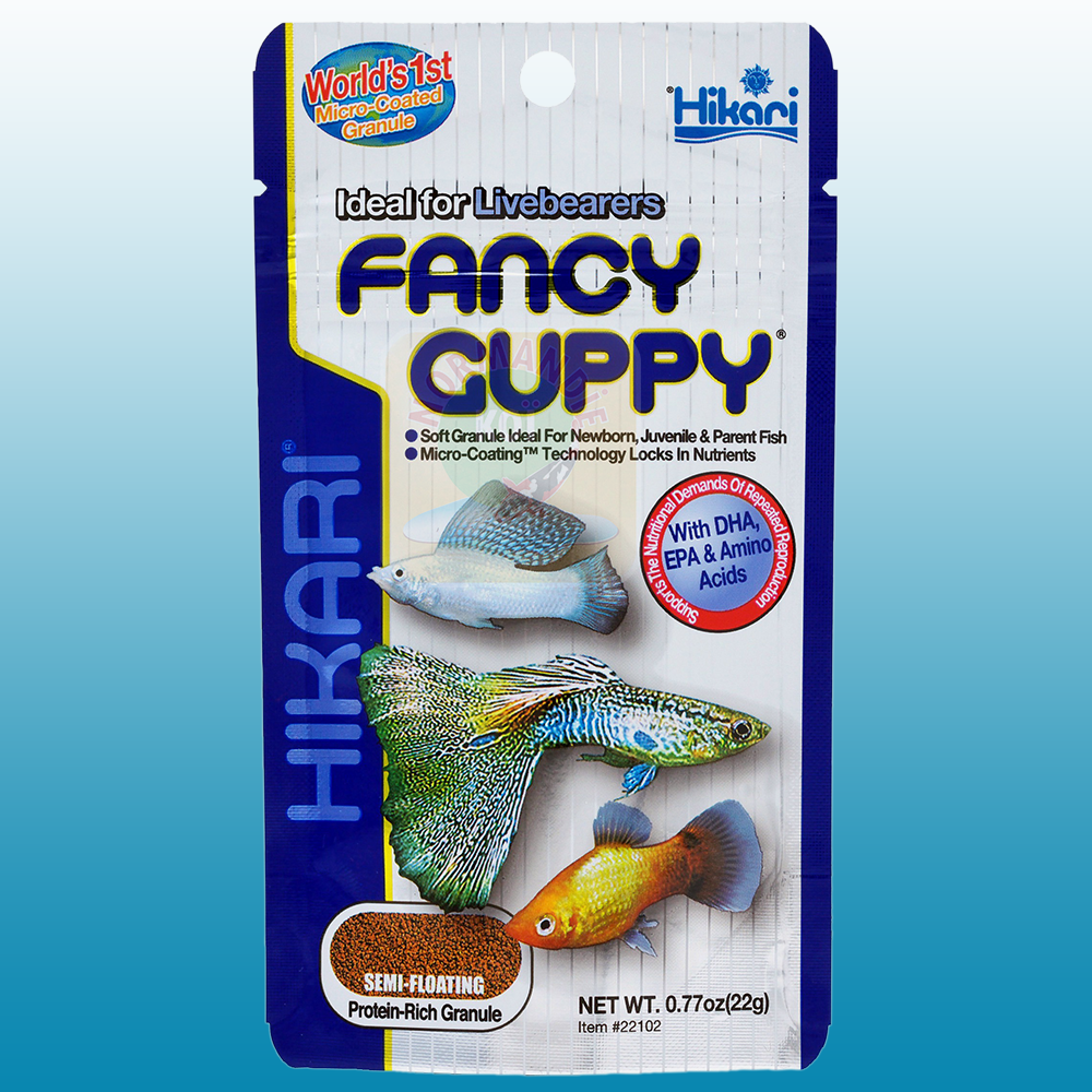 Hikari Fancy Guppy