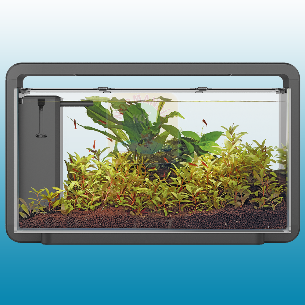 Aquarium Home 30