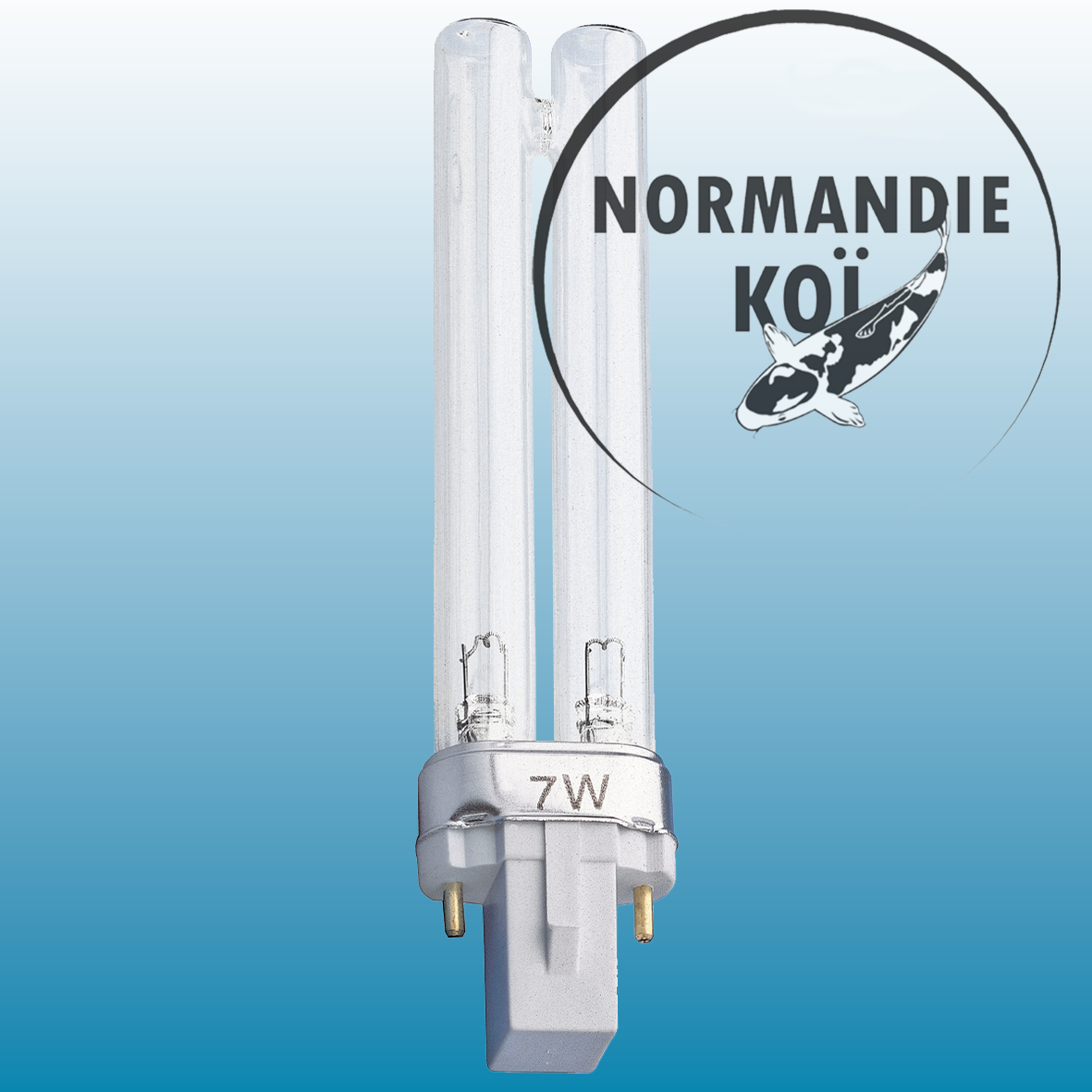 Oase Lampe UVC