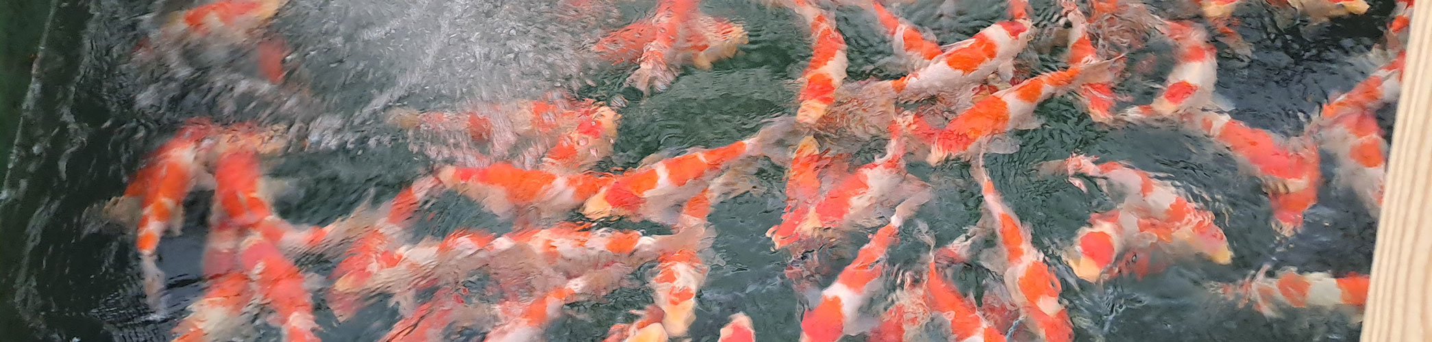 Traversées de paroi