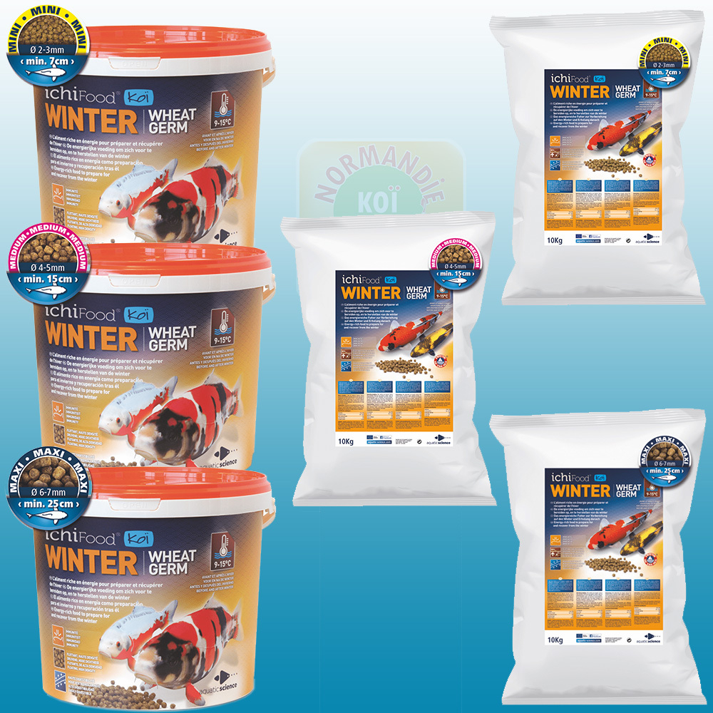 Ichi Food Winter 100% coulant !!! (dans la limite des stocks disponibles)