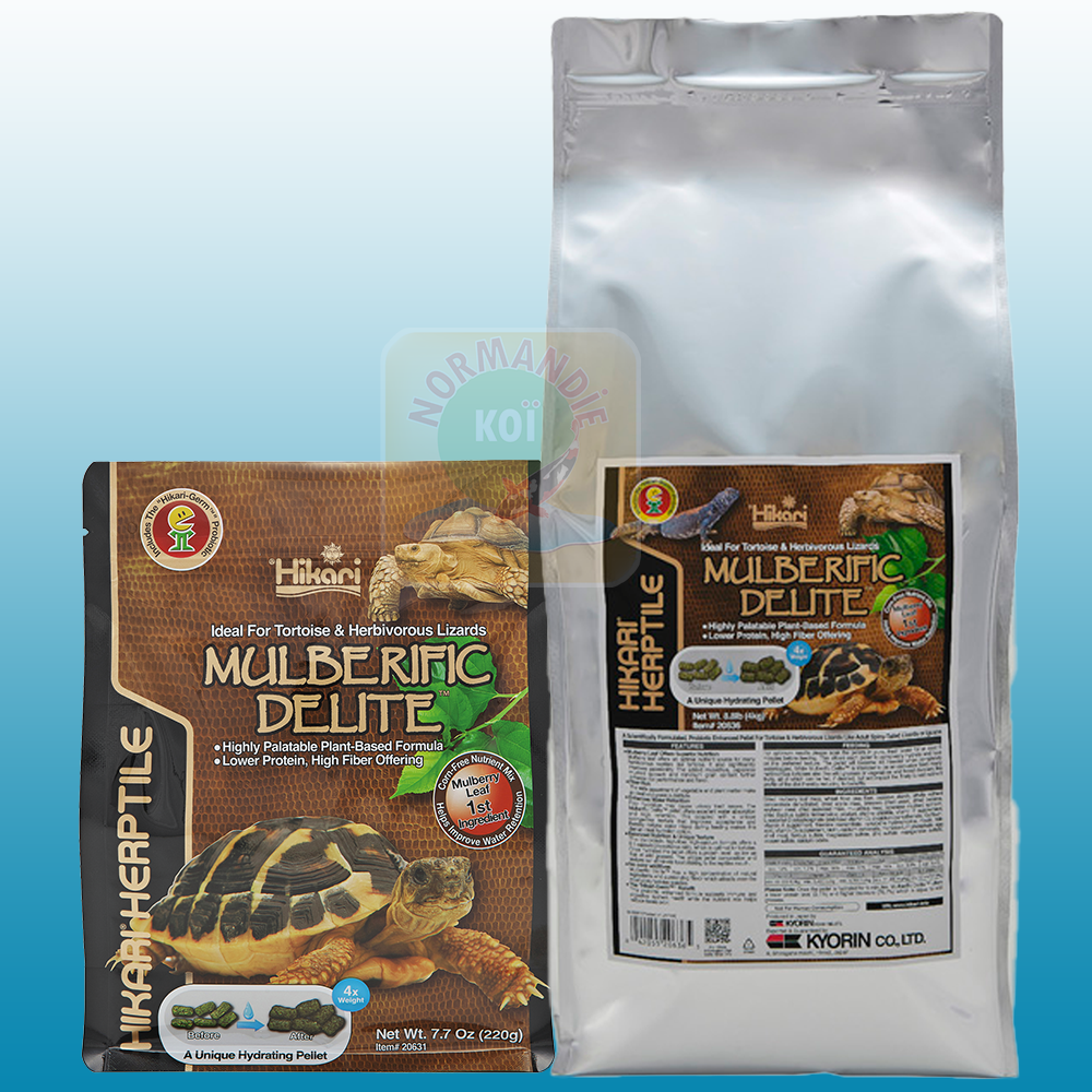Hikari Turtle Mulberific Delite