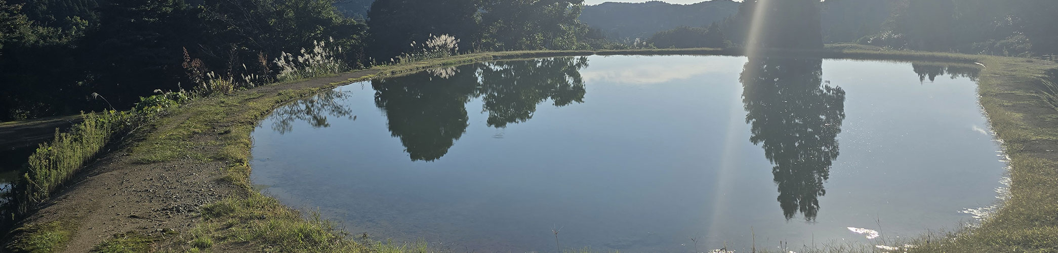 Décoration murale avec support