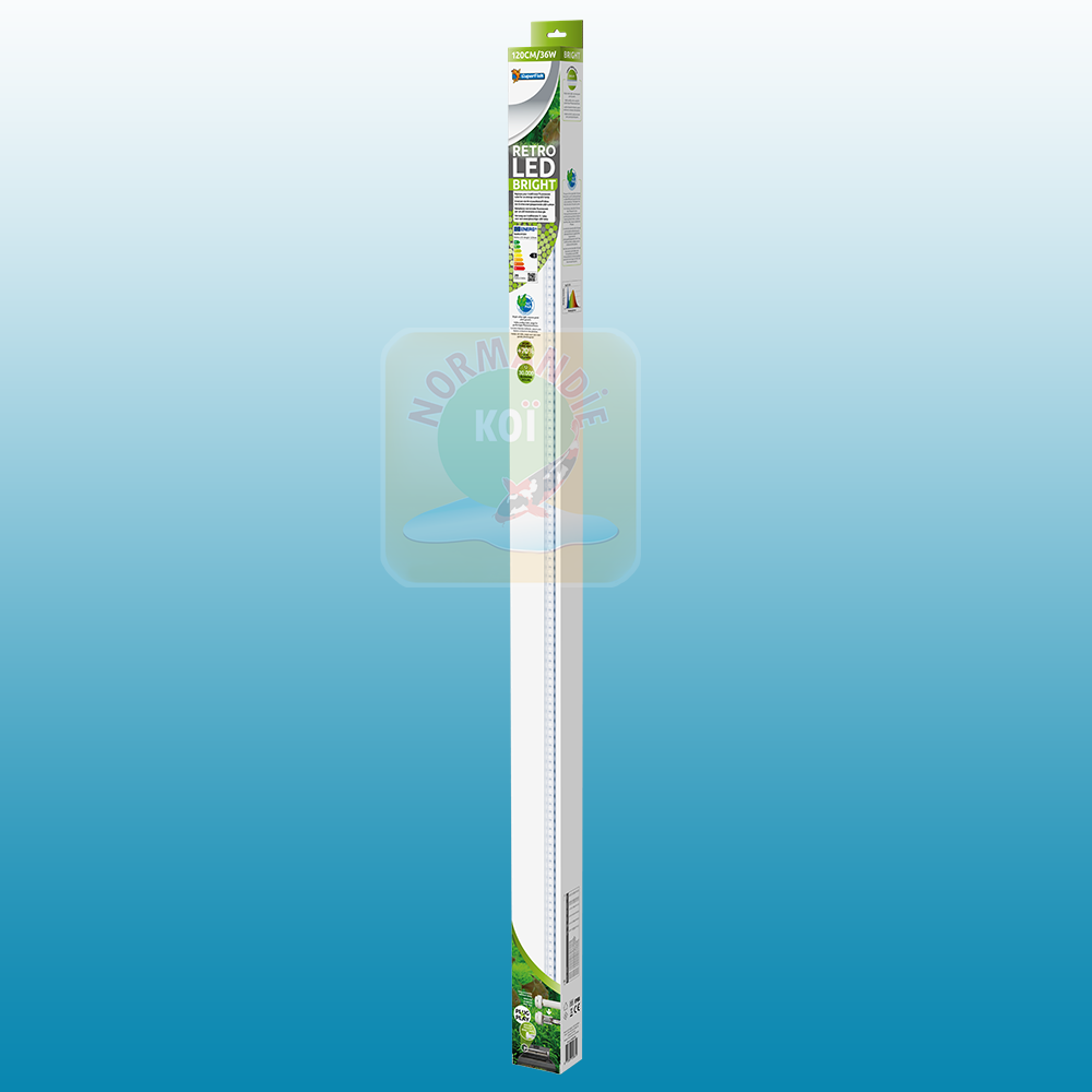 Eclairage Retro LED Bright