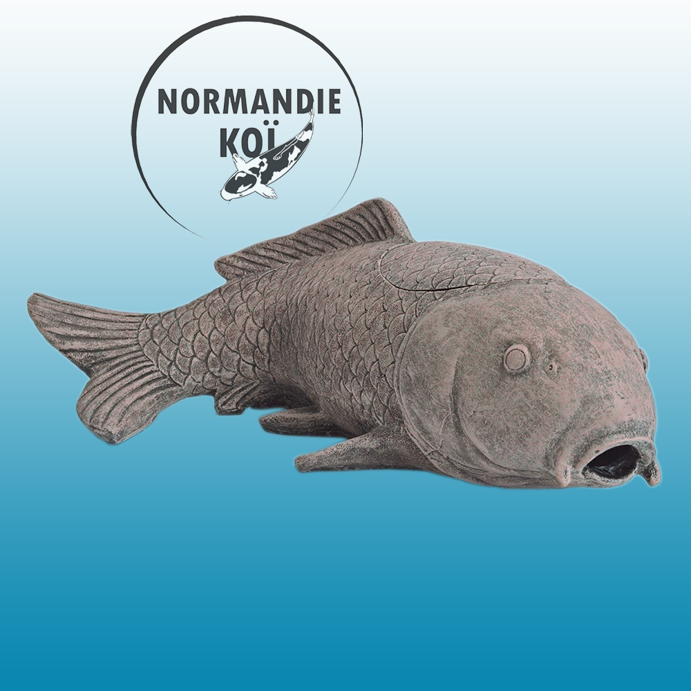 SuperFish CARP FILTER
