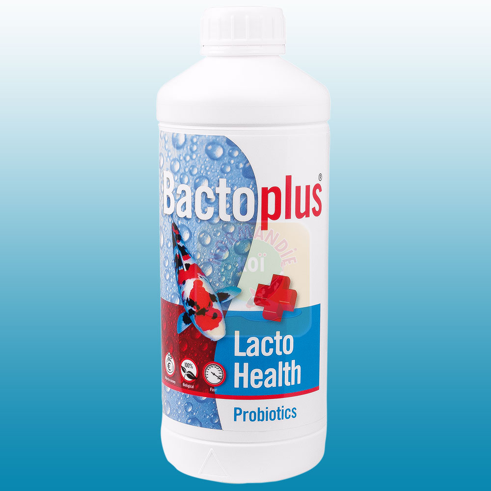 Bactoplus Lacto Health