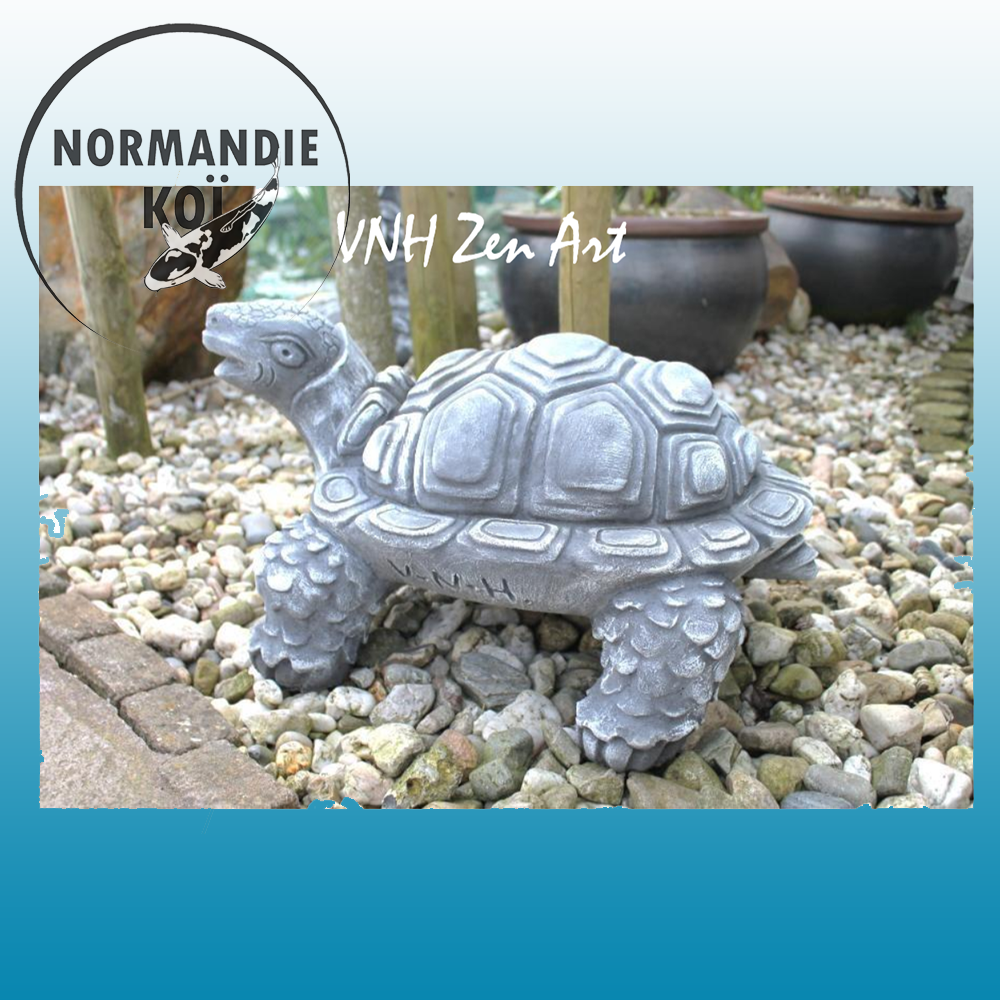 Tortue type 2 / 3.2