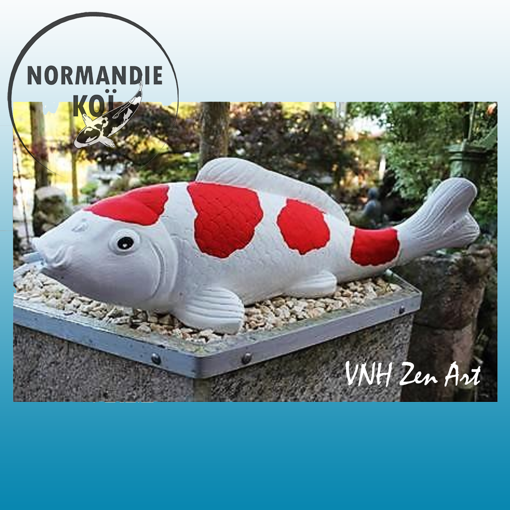 Jumbo kohaku 1.15.A