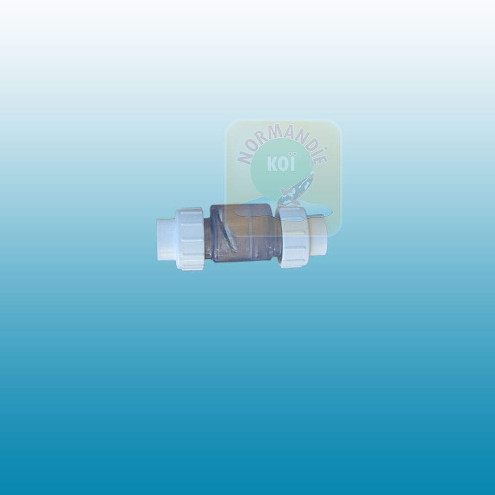 Clapet anti-retour transparent