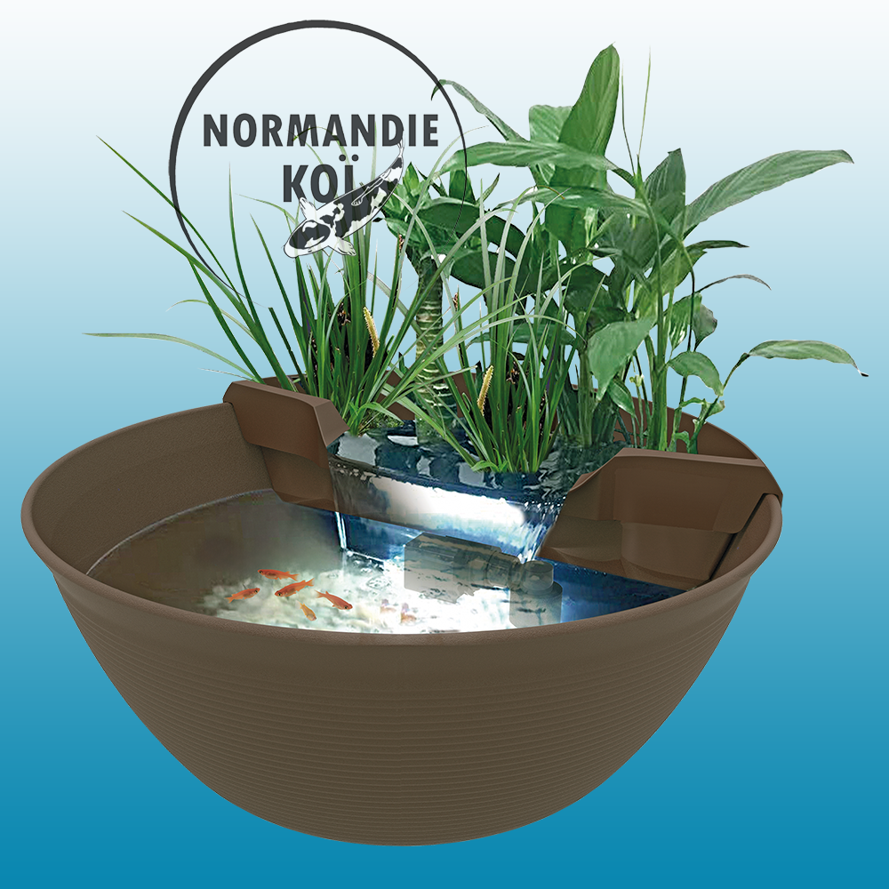 SuperFish Mini Pond