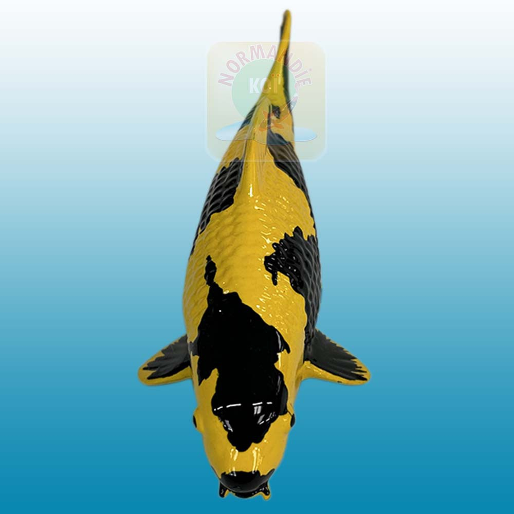 Carpe koï en résine (15 cm)
