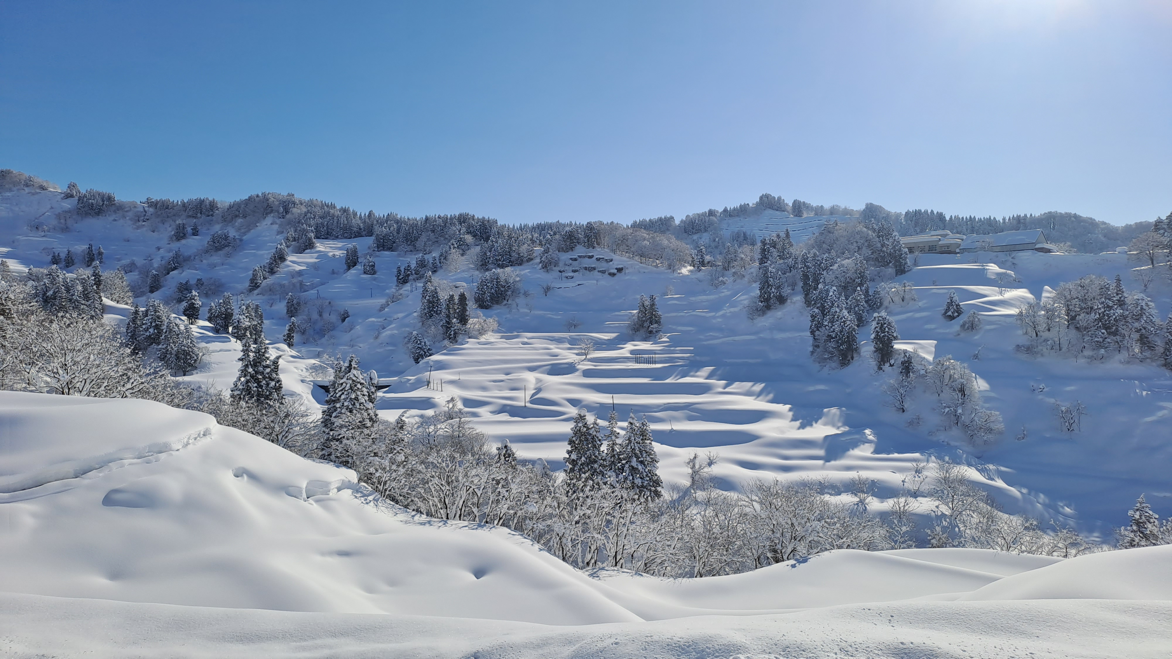 Nourritures d'hiver