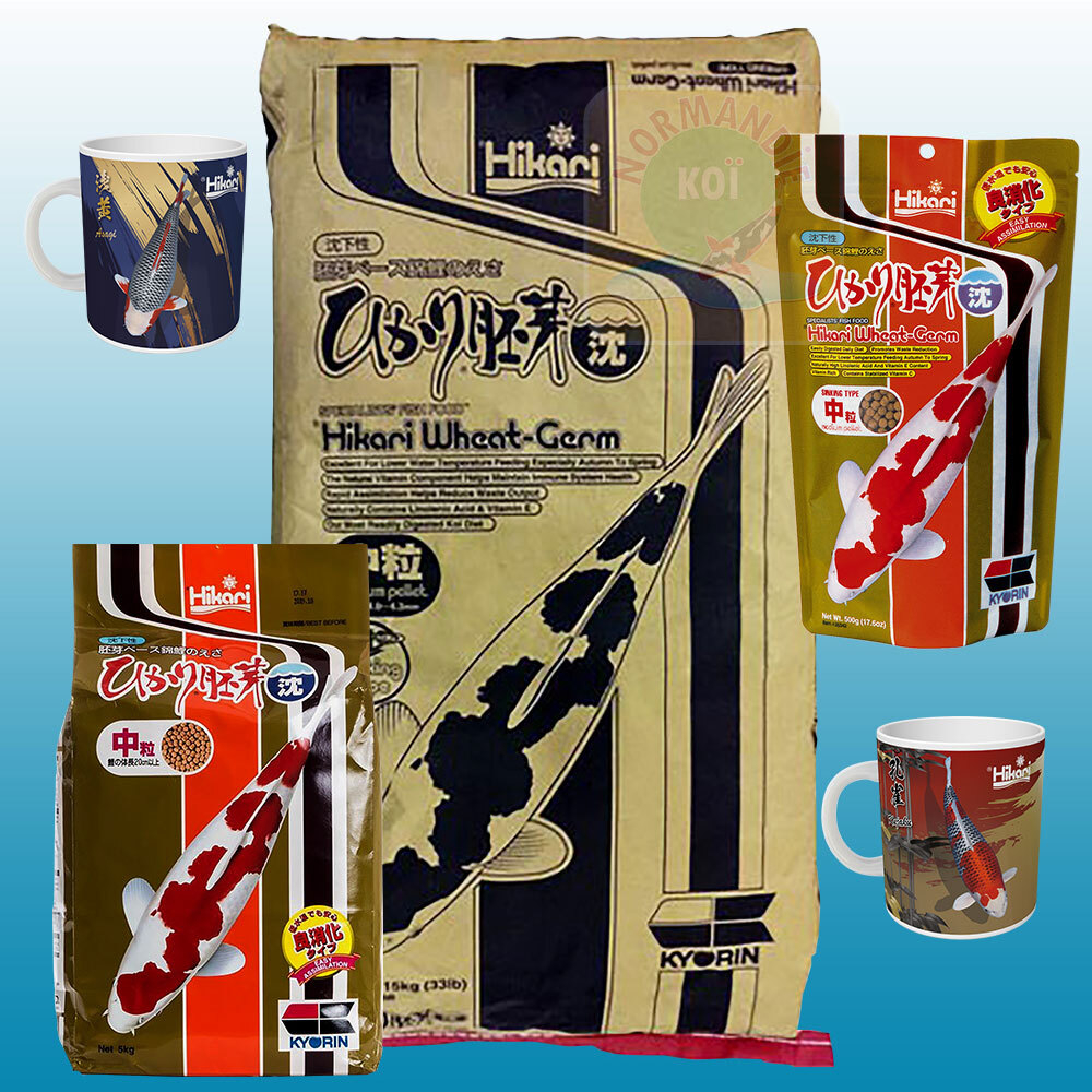 Hikari Wheat Germ Sinking