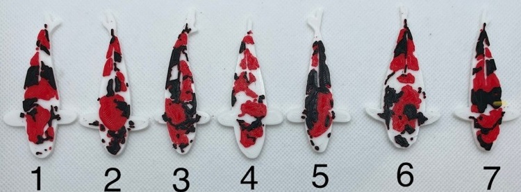 Carpe koi Showa aimant 7cm