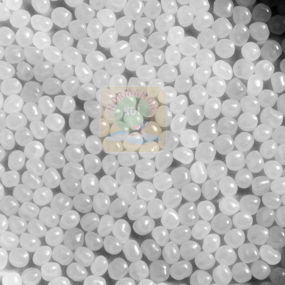 Shark bead 35