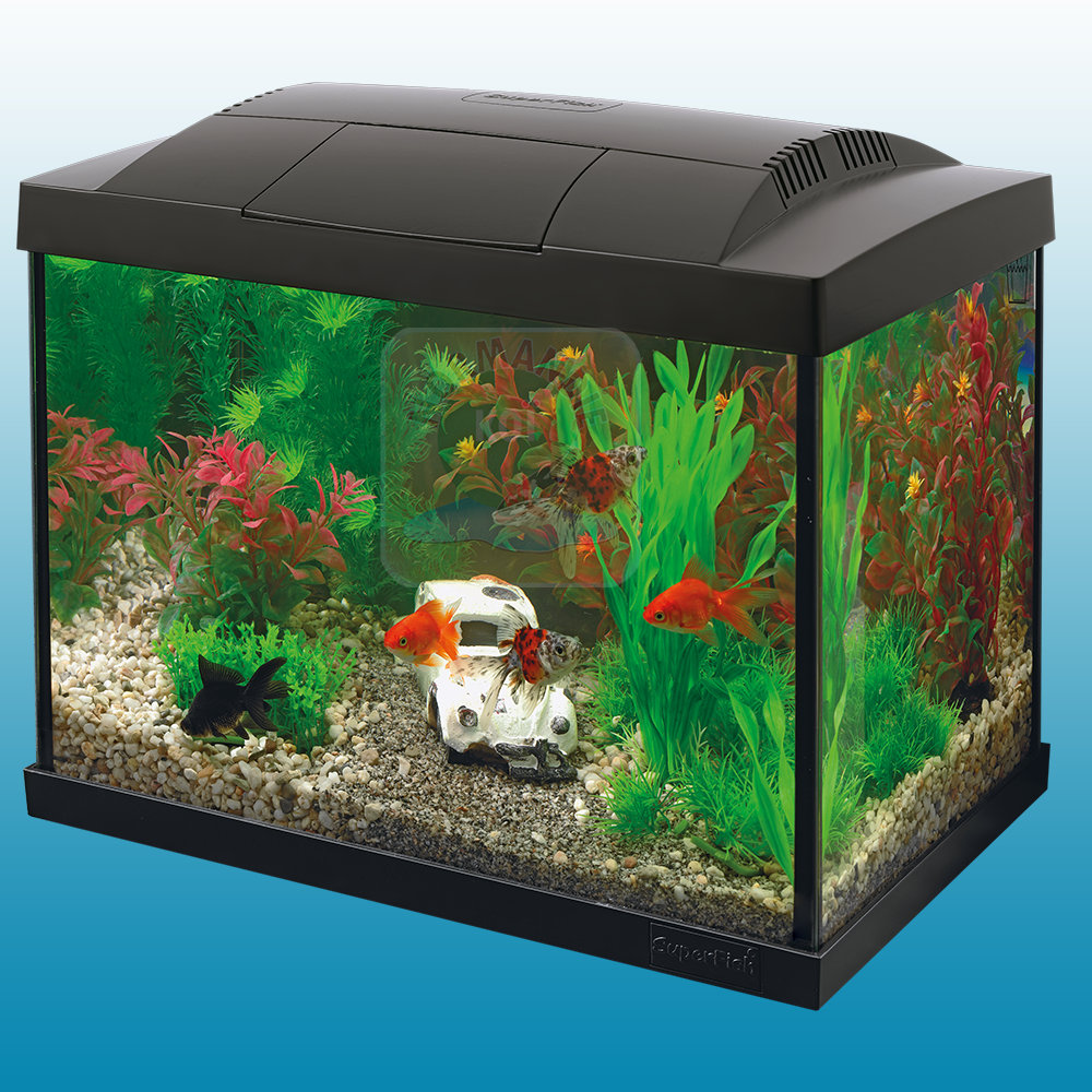 Start 20 Aquarium Kit