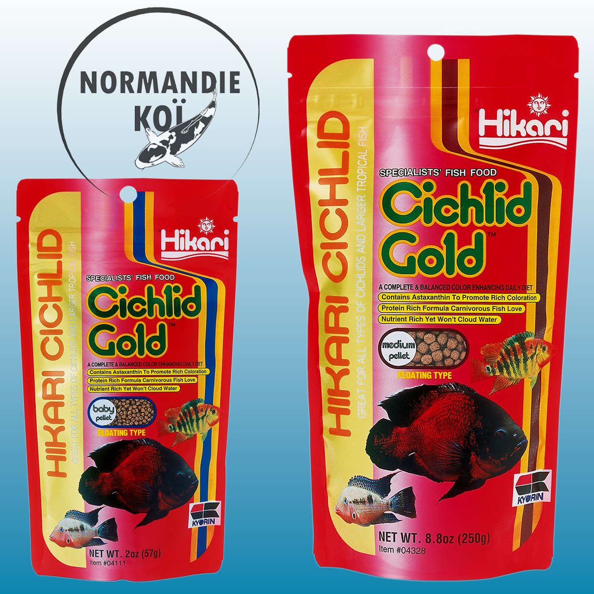 Hikari Cichlid Gold