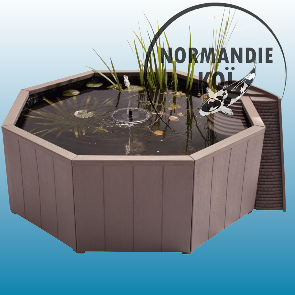 Bassin hors sol 190L avec pompe solaire et bac plantes