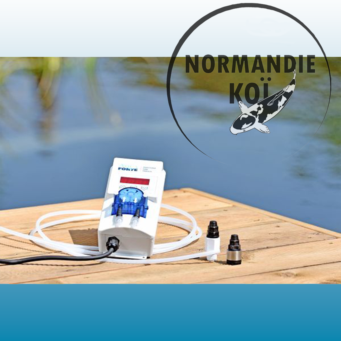 Pompe doseuse AquaForte Dosatech