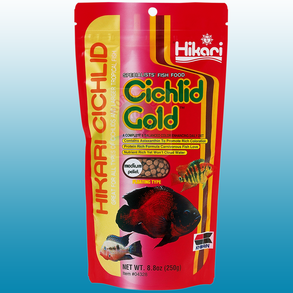 Hikari Cichlid Gold