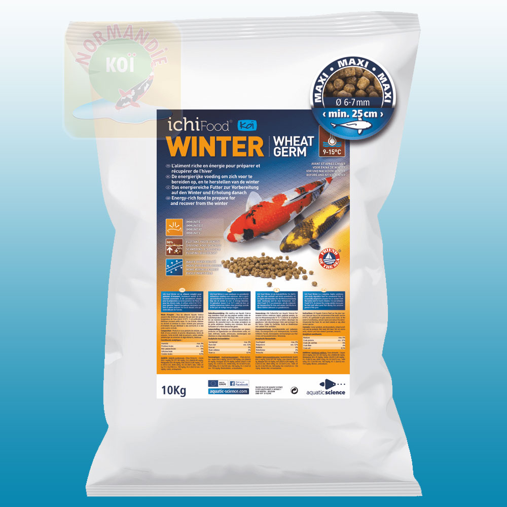 Ichi Food Winter 100% coulant !!! (dans la limite des stocks disponibles)