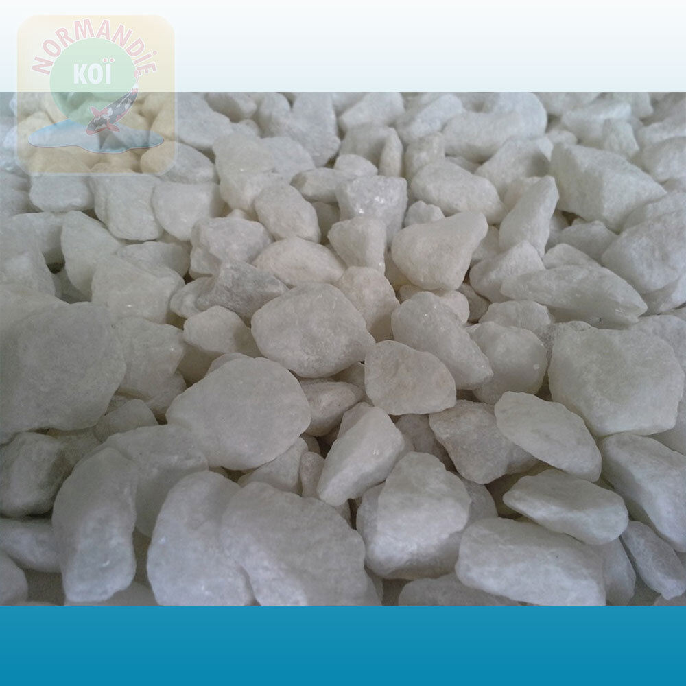 Marbre Blanc Pur 8/12 mm