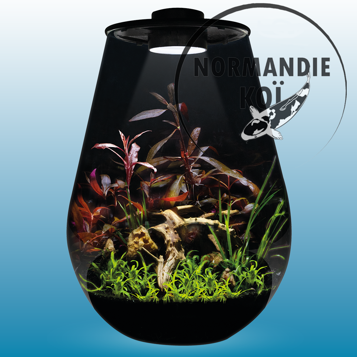 SuperFish BIO ART DROP 345