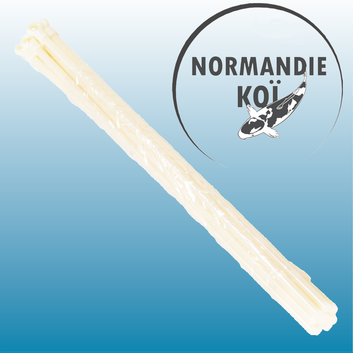 Protection de bassin fil électrifié