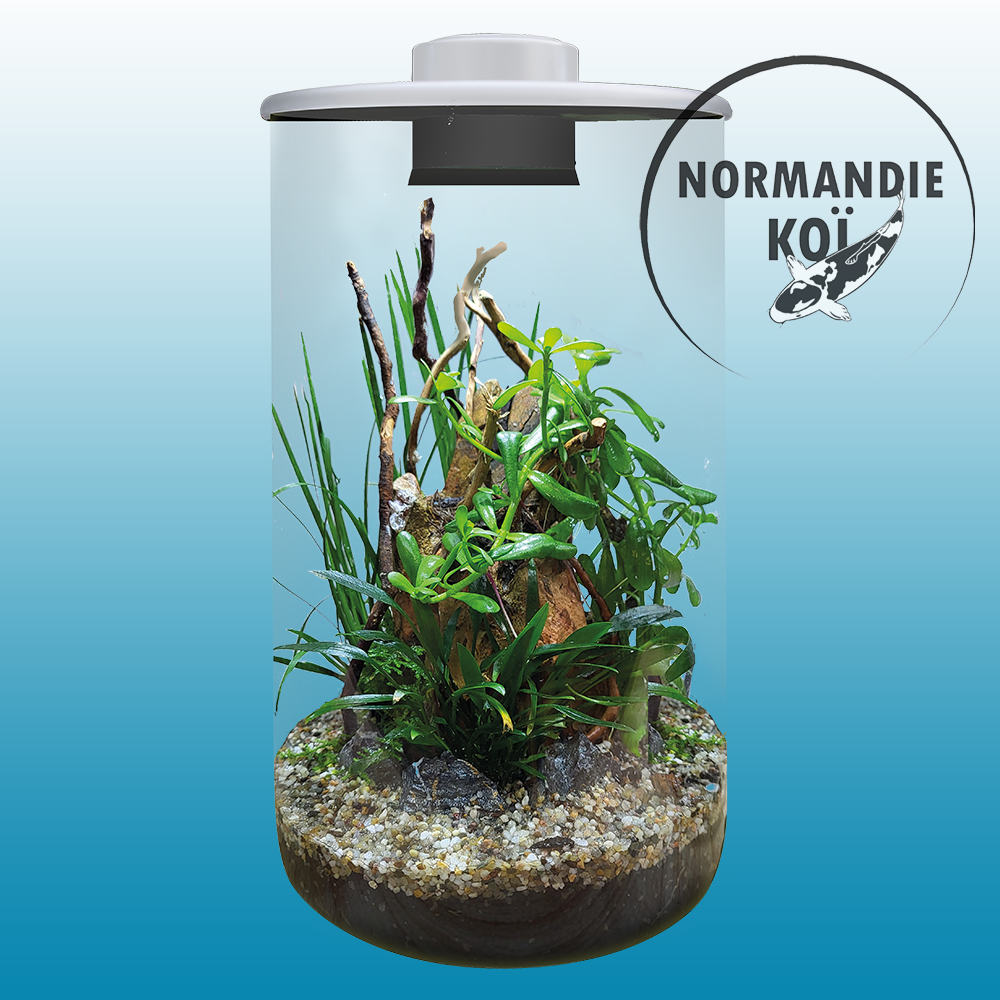 SuperFish BIO ART Cylindre 285