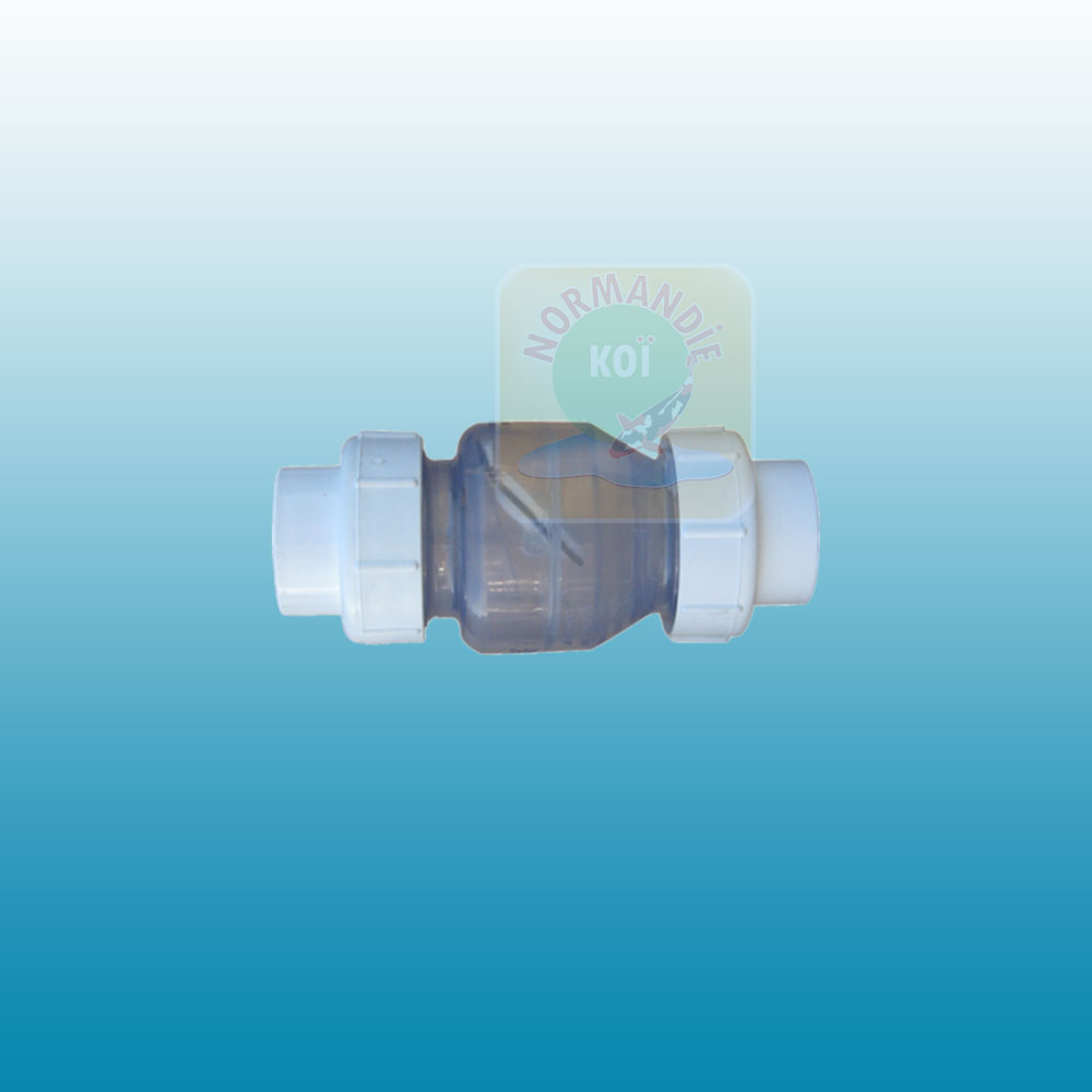 Clapet anti-retour transparent