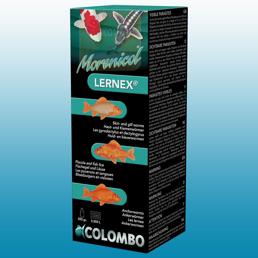 Colombo Lernex