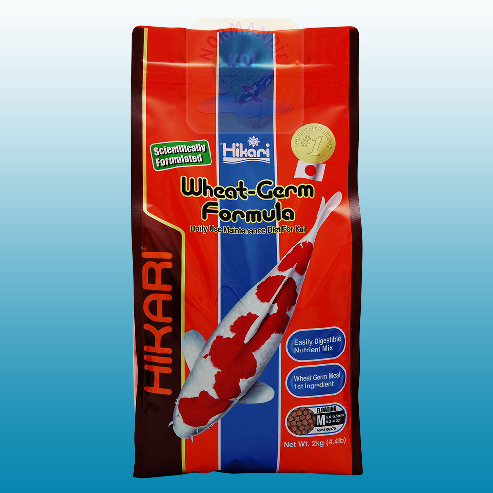 Hikari Wheat Germ