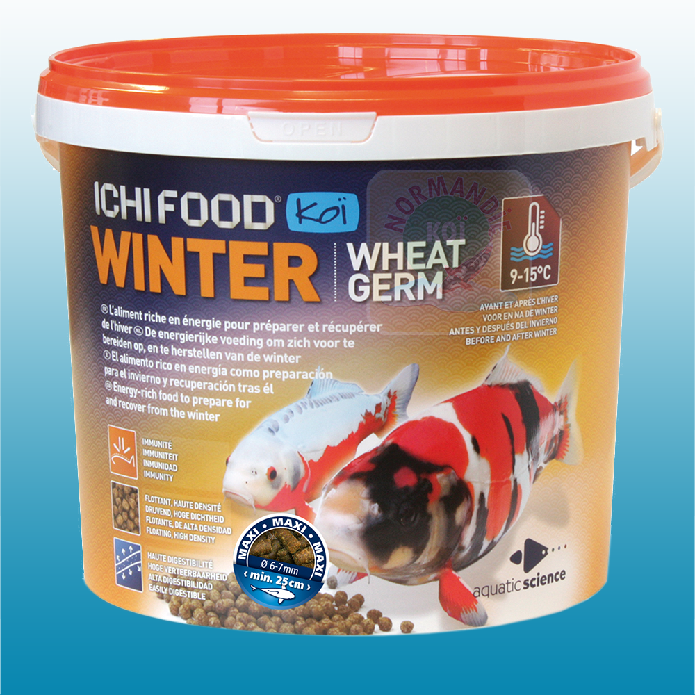 Ichi Food Winter 100% coulant !!! (dans la limite des stocks disponibles)