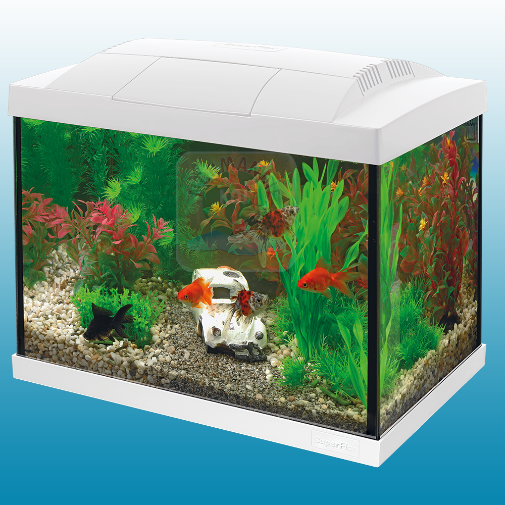 Start 20 Aquarium Kit