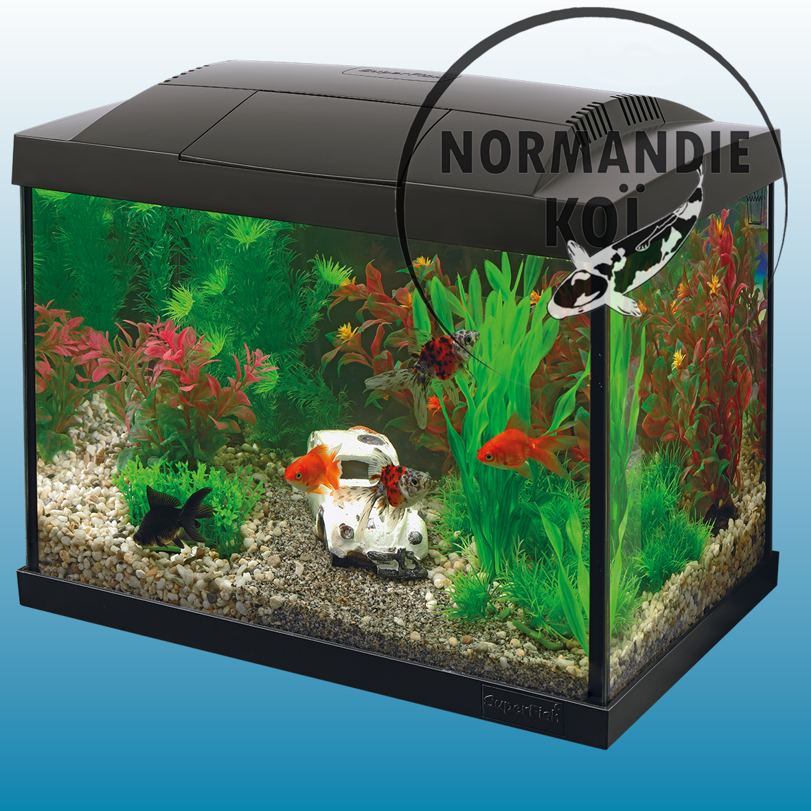 Start 20 Aquarium Kit