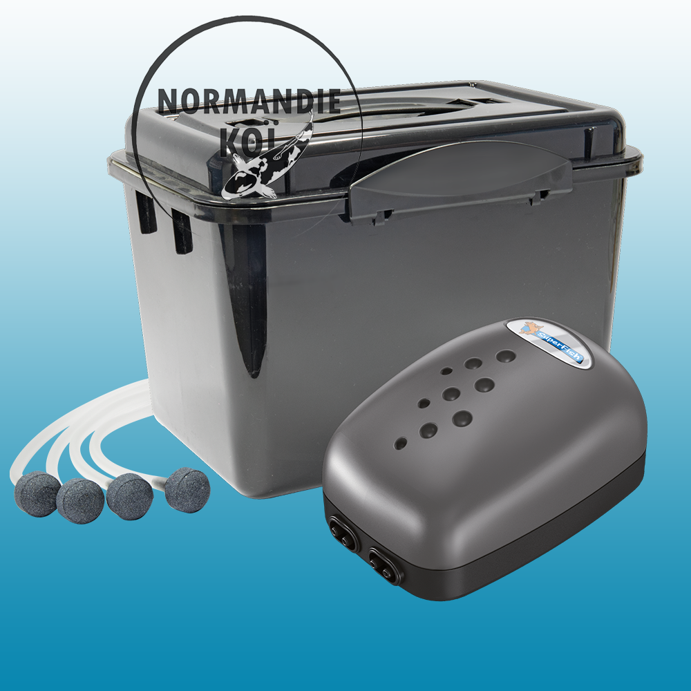 Superfish Air-Box 4
