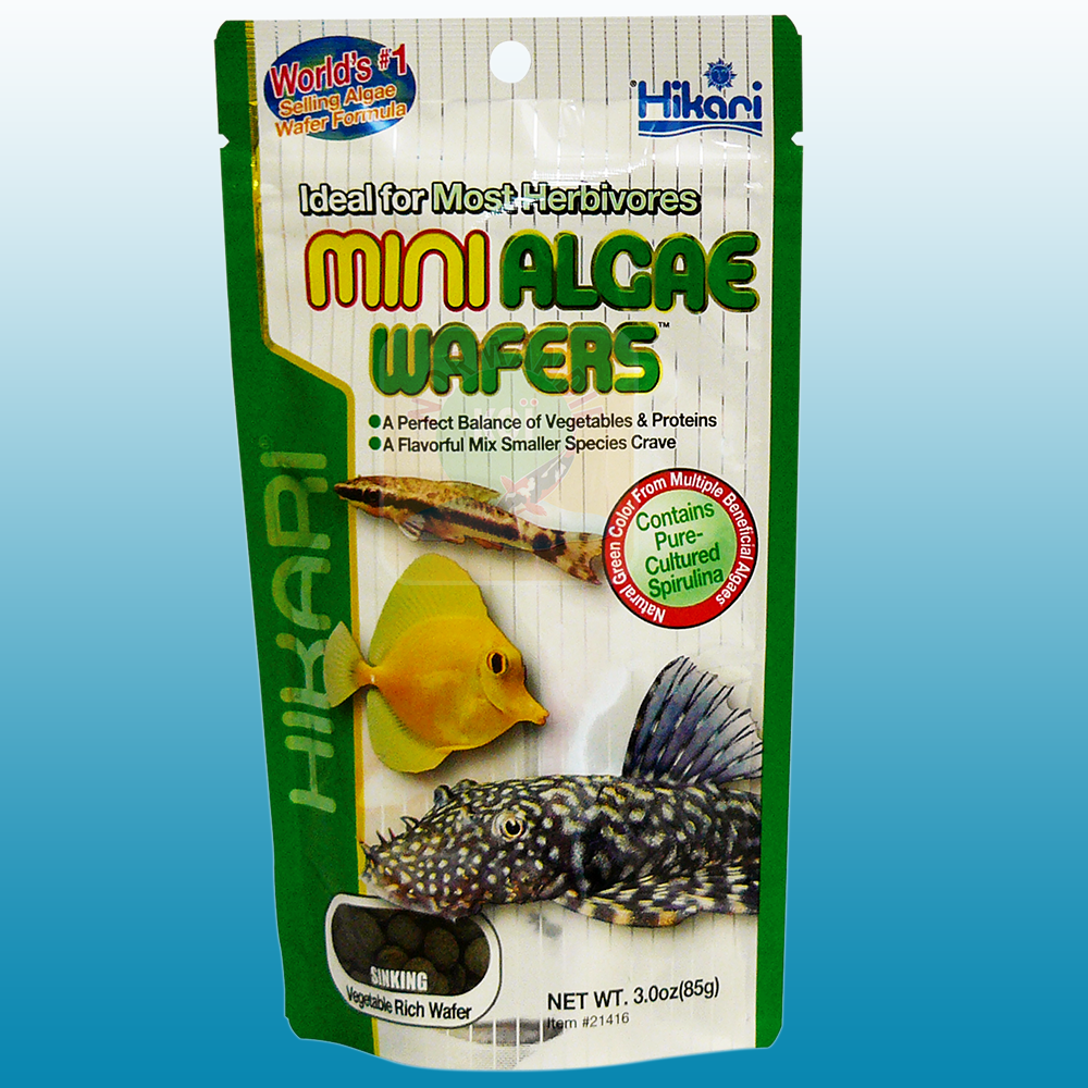Hikari Mini Algae Wafers