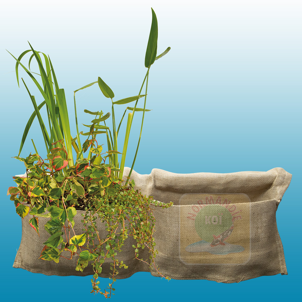 Superfish Toile de Jute