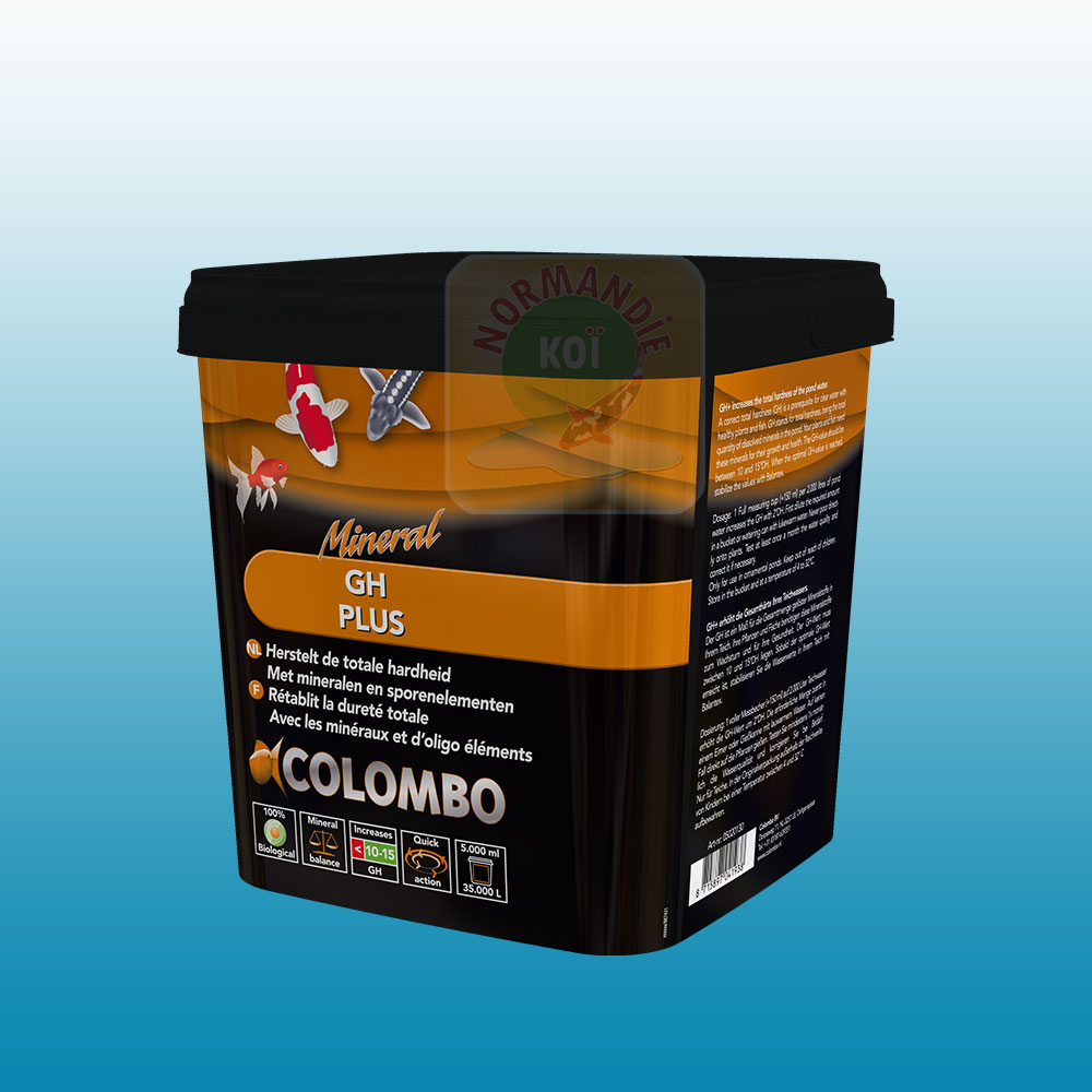 Colombo Gh+