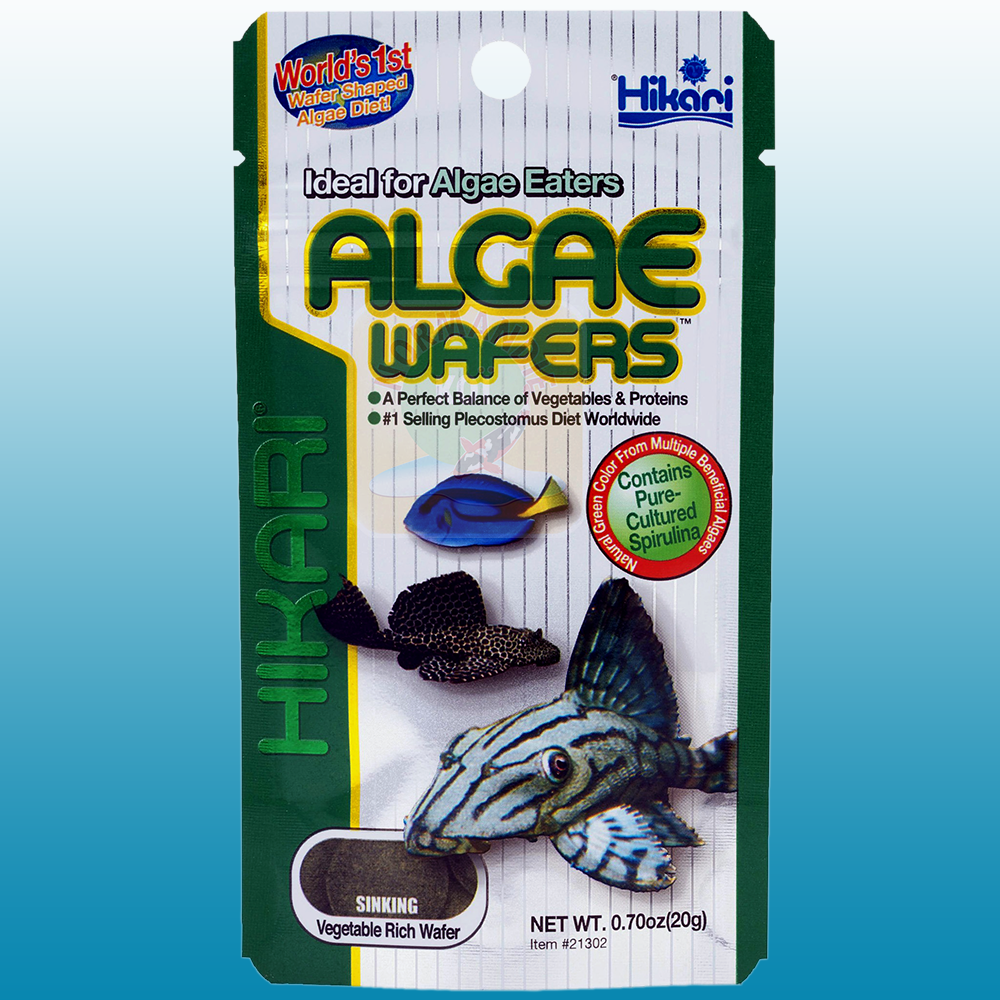 Hikari Algae Wafers